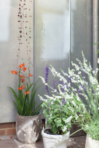 Extension and refurbishment of a small 90s terraced house in Stoke Newington 1