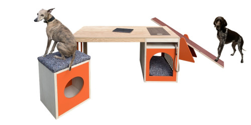 Barkitecture Archi Ava on desk