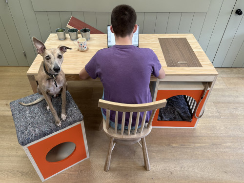 Barkitecture George James entry
